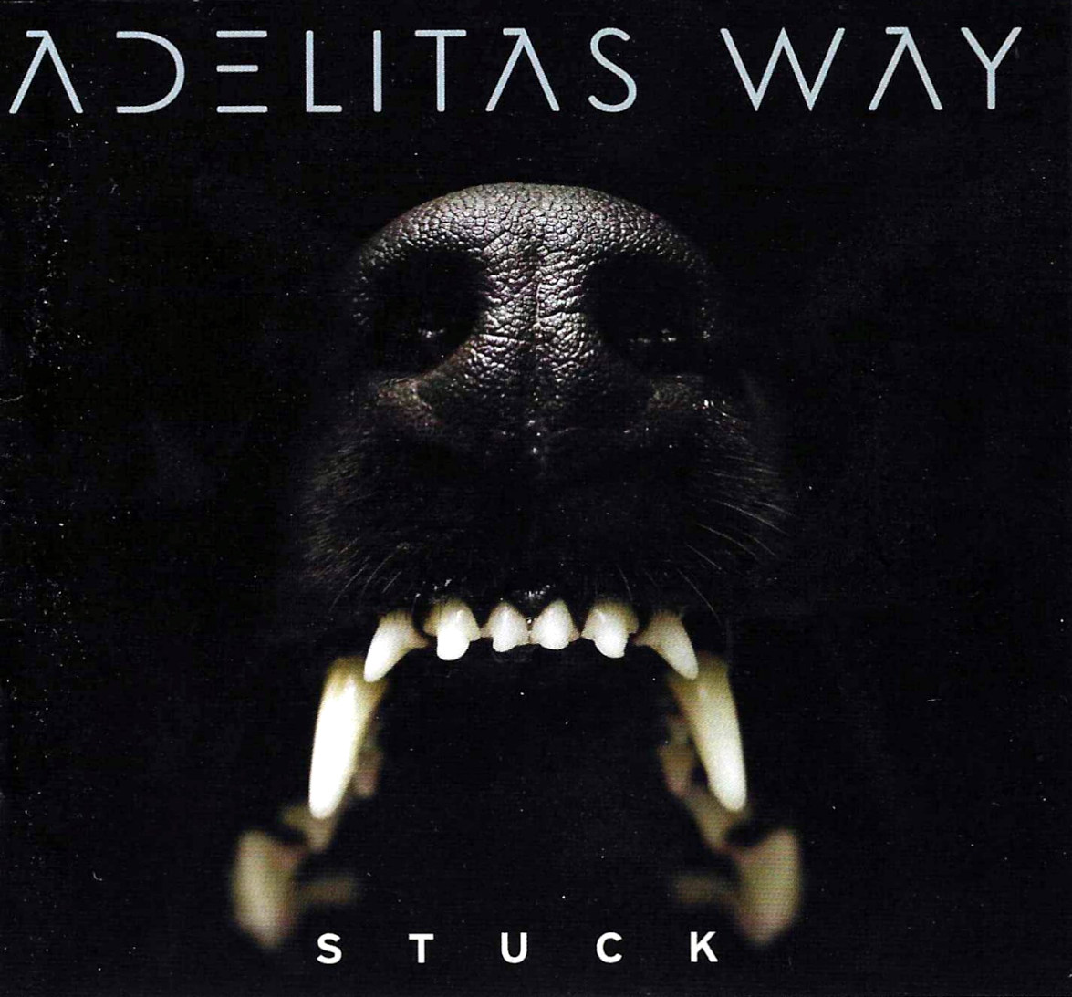 Album art